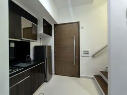 Loft @ Nathan (D10), Apartment #542312061